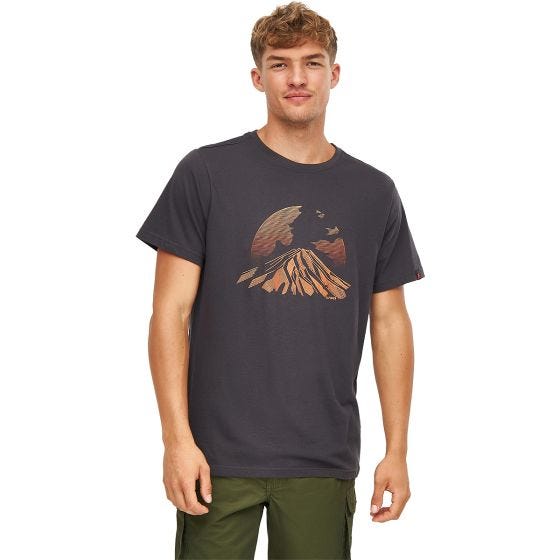 Koszulka T-Shirt Alpinus Active Etna Szara