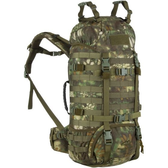 Plecak Wisport Raccoon 45L Kryptek Mandrake