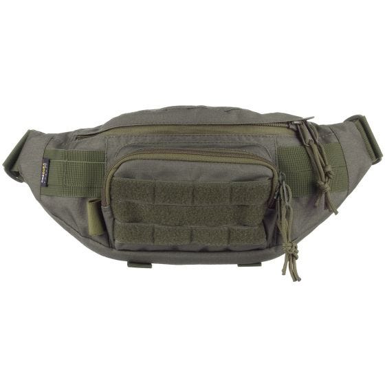 Torba Biodrowa Nerka Wisport Gekon RAL 7013